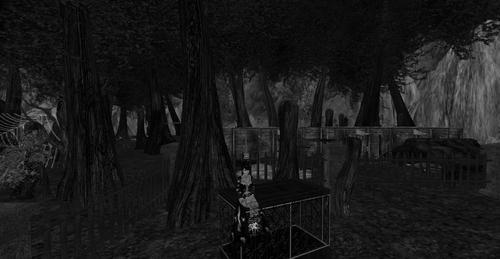 Web 5ca4d93cd9859c3f32000001