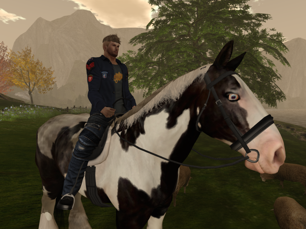 Original 5d9fa6dad9859c5536000001