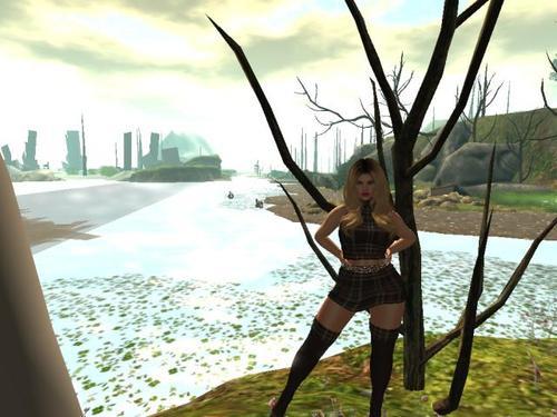 Web 5e506a70d774f86679860e7e