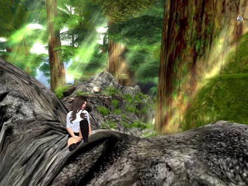 Web 5e7e73e473ed1705e34e113b