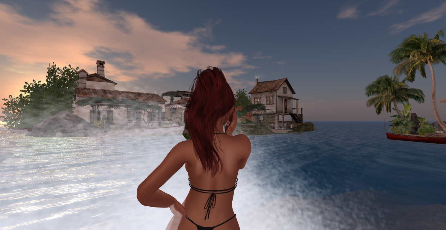 Original 62bc74e4924c883288415288