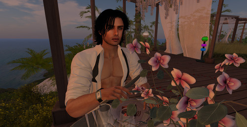 Web 6424c82d2b47cb689680c7c6