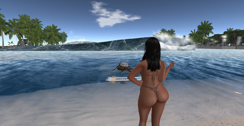 Web 662a0a683f920f0ce1b1eb84