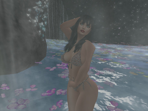 Web 662a14cd5313f269b2ed3a61