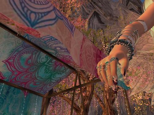 Web 61a0b27ffc69d60bcf8a4028