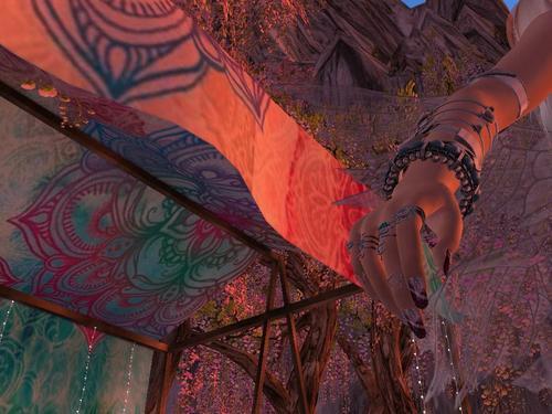 Web 61a0b2afdf72f818ce6721b4