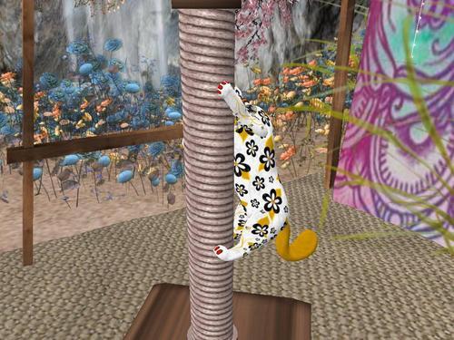 Web 61be4953e6a8c6047dbe3d80