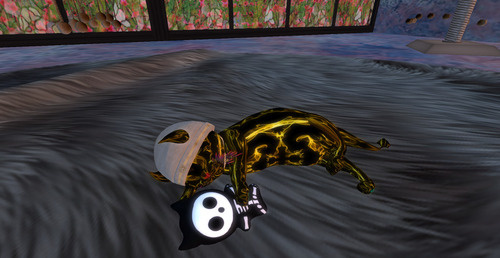 Web 67d2208eacbb552bde7c381a