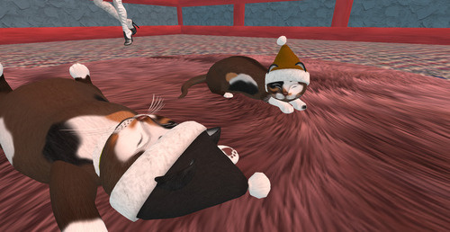 Web 67ddf8d16a4ea510645fc270