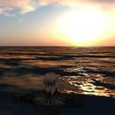 Thumb 5f42fc27289dd21a3333d1c9