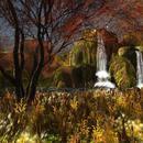 Thumb 5f711fbb73ed17155918cbc4