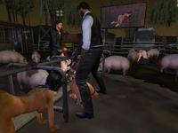 Small 61c1276292c9a21b8272178b