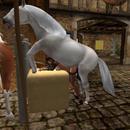 Thumb 60faf6b567f1972fc0248497