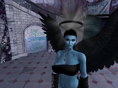 Web 5db18364d774f8577a000001