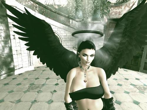 Web 5db1837873ed17465a000001