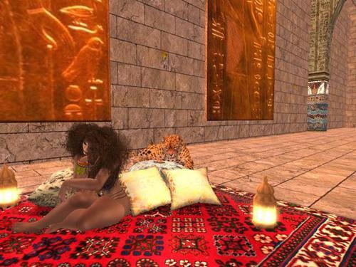 Web 5eafa190289dd2104fa116f6