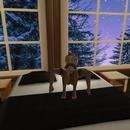 Thumb 620f5f6a5b169830b1bf51c4