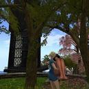 Thumb 5f9f1774d9859c5f405d837f