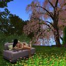 Thumb 61811d235c4aff386bff7eba