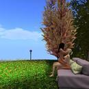 Thumb 61812469fc69d6748c8a4028