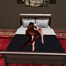 Thumb 676db2547dc6a213c345a22a