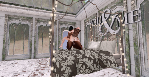 Web 676df34f74b57146cec78be1