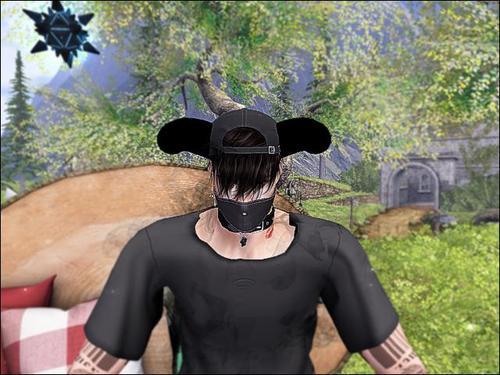 Web 5f06ee9b289dd233dd8db066