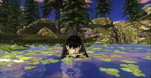 Web 5f34d93a289dd26d6f33d1c9