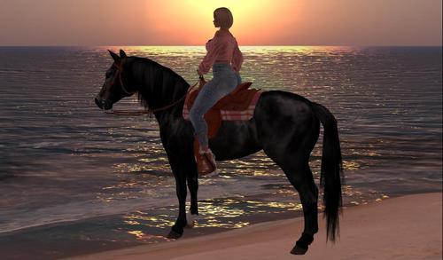 Web 609b47e98824d9456d29a6b3