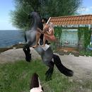 Thumb 6264bc38972bb60de55db03b