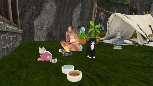 Web 6196988bd0fbe82e03e8e7ca