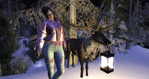 Web 619e9adcc1de787e4244ac29