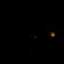 Thumb 666fc8953f920f6beeb1eb84