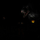 Thumb 666fc89b1ec7631f02f13bab