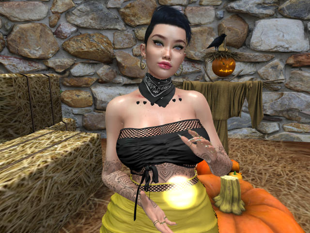 Original 61509e111dbaad4564003f42