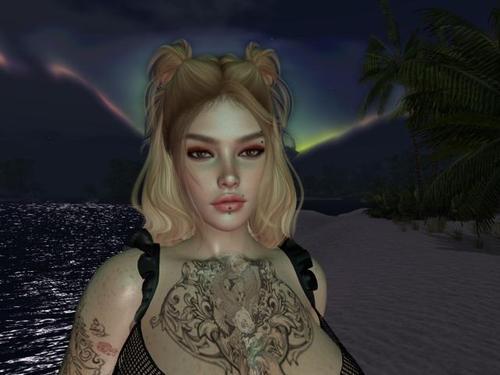 Web 6140209266951e0491dd45a5