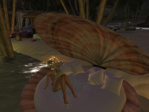 Web 5f32fccc289dd2724933d1c9