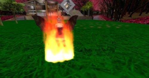 Web 5f38595473ed174a480553ca