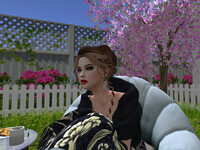 Small 65b342a0ef04cf7e57710060