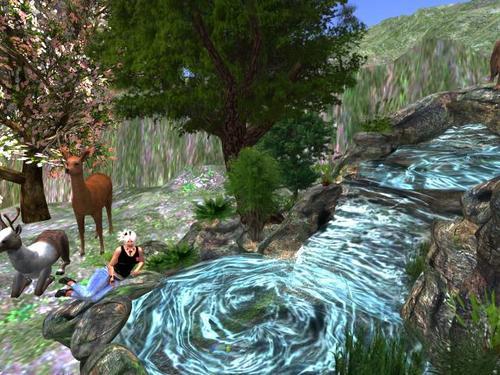 Web 603ee0c6af22ae3e50fed0c4