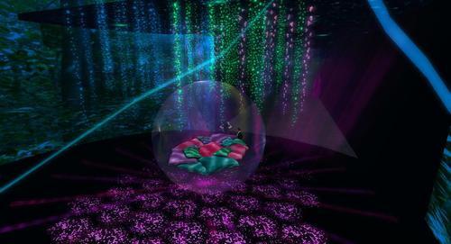 Web 6062b7d588f2cf36573467cc