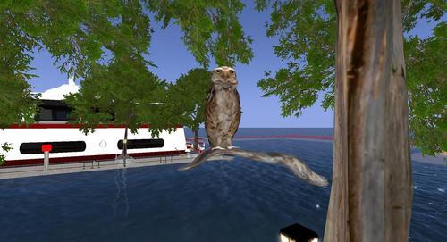 Web 60669cb5e0fbc4378d9a2815