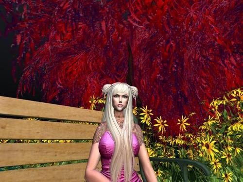 Web 5fcc1ec7783f7b44b7600335