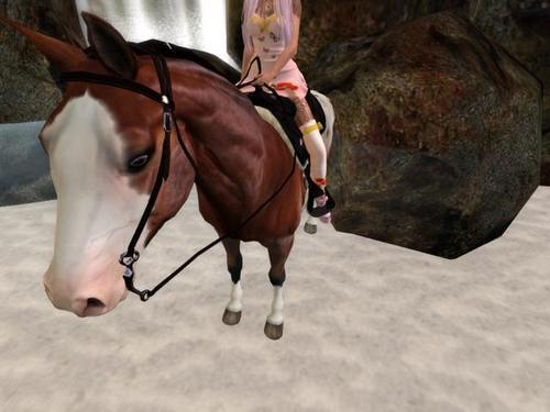 Web 6027d04b91a4a568ed35521f