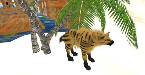 Web 5f971109289dd21ce18c6a79