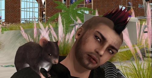 Web 6071c231e0fbc4741c9a2815