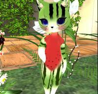 Small 5fbc5dbe40647048327fd185