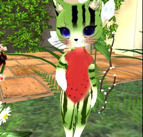 Web 5fbc5dbe40647048327fd185