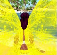 Small 5fbcefe415c0157a2d133cf3