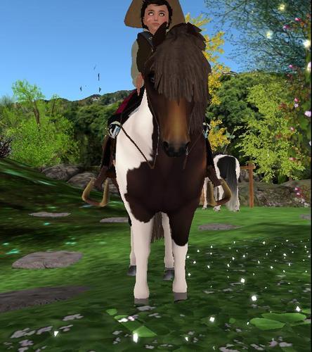 Web 60931828e832df59bbb8e77b